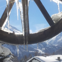 Saas-Fee,Akelei,Winterstimmung