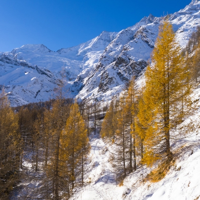 Saas-Fee,Winter,Umgebung,Alphubel