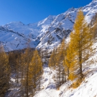 Saas-Fee,Winter,Umgebung,Alphubel